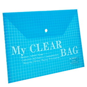 MODEST – CLEAR ZIPPER BAG(A4) – T57 – Ay stationery