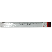 NATARAJ – PLASTIC RULER (30cm) – 621